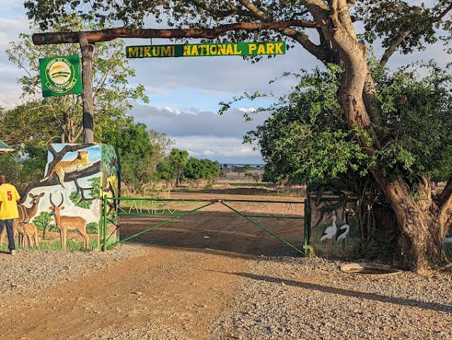 Mikumi National Park Day Trip — 1 Day